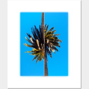 Flipped palm tree Posters and Art